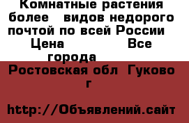 Комнатные растения более200видов недорого почтой по всей России › Цена ­ 100-500 - Все города  »    . Ростовская обл.,Гуково г.